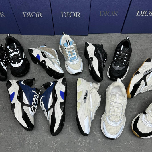 Dior Shoes B22